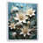 Cadre flottant blanc