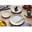 Toile Home Cup Lafayette-102367180