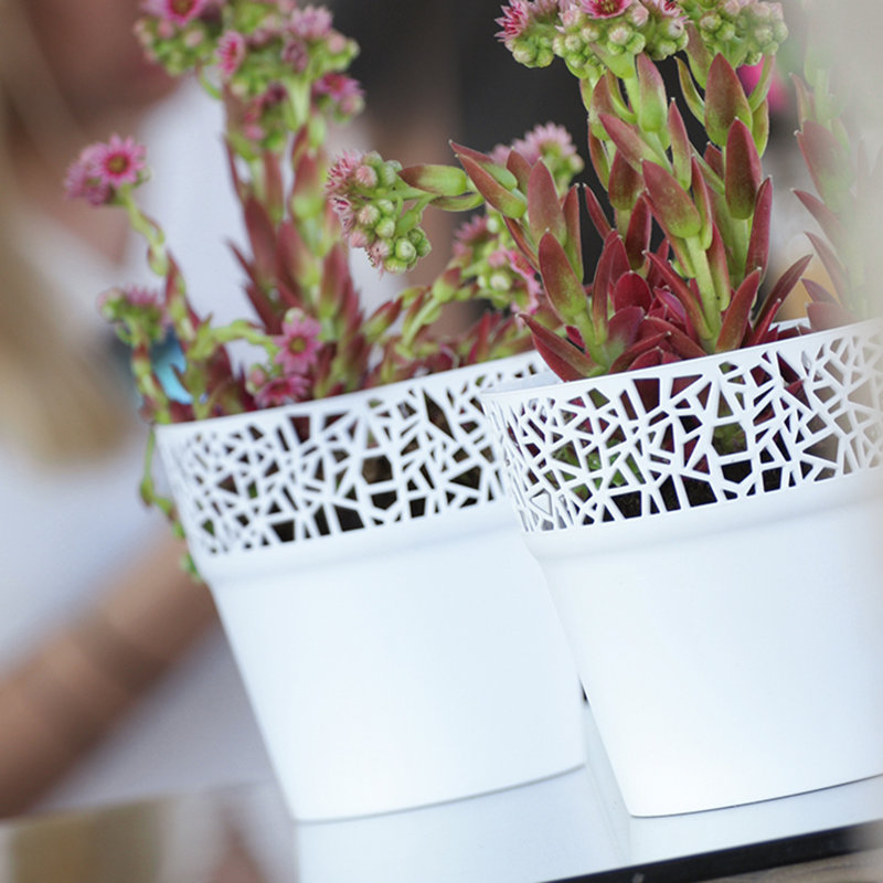 Aaradhy Pot Planter, White