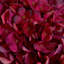 Anastasija Arrangement-376443027