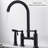 Homein Kitchen Faucet with Side Spray-70700047
