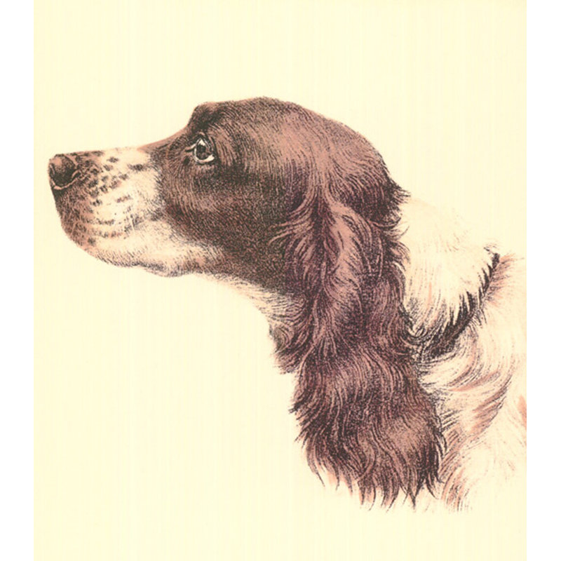 Printed Danchin Cocker Spaniel, 23" H x 20" W