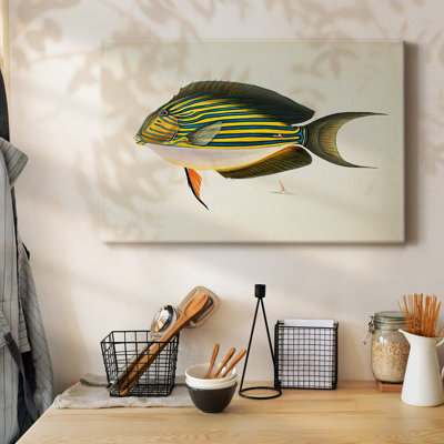 Toile tendue avec collection de poissons tropicaux I-Gallery