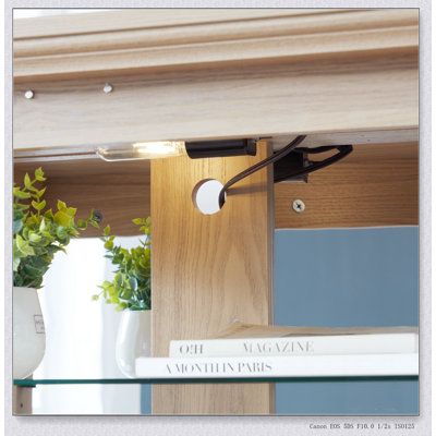 Vitrine Curio, vitrine antique avec portes en verre