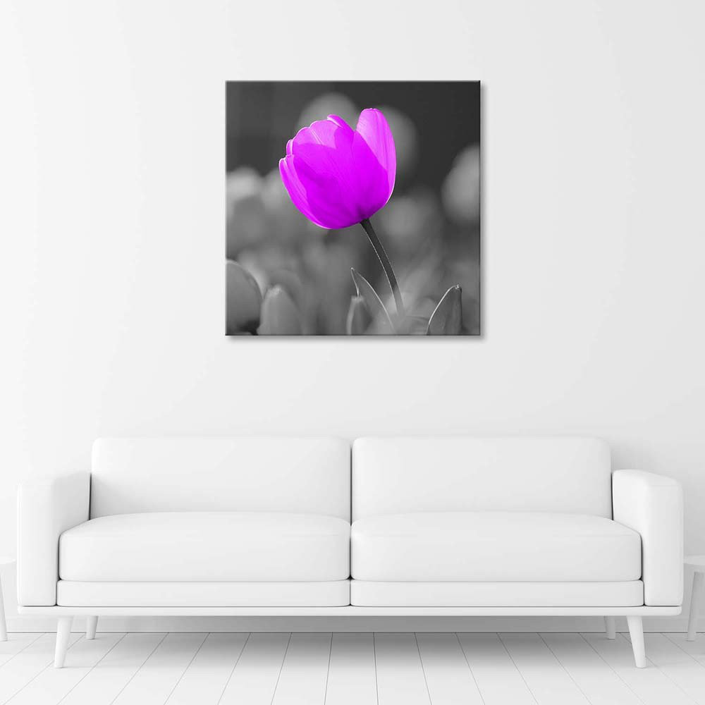 Leinwandbild Tulip Blossom Purple