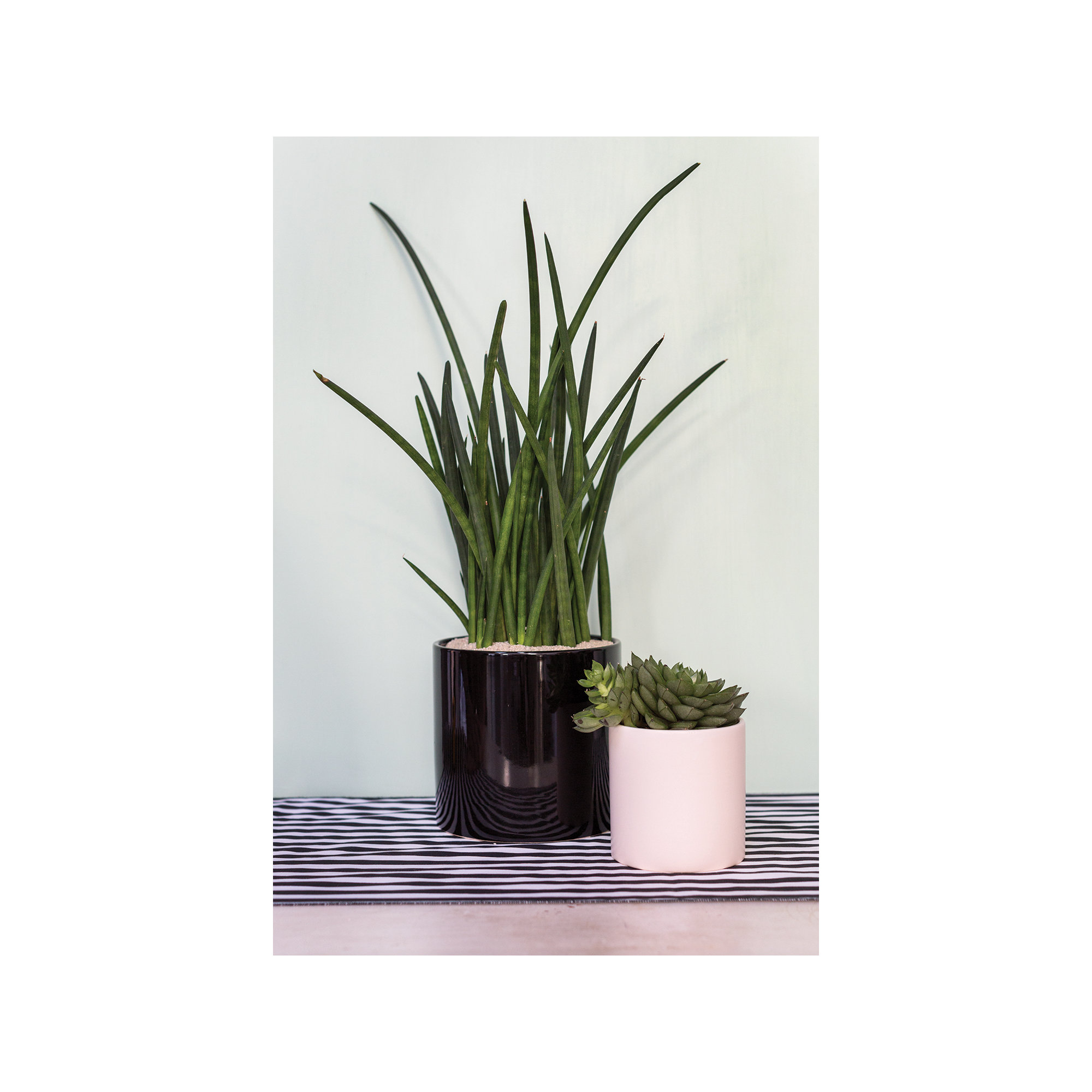 Handmade Ceramic Pot Planter, 4.25" H x 4.25" W x 4.25" D, Matte White