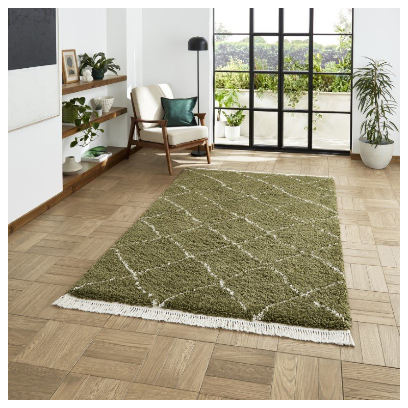 Pechler area rug Machine Woven Green, Rectangle 160 x 230cm