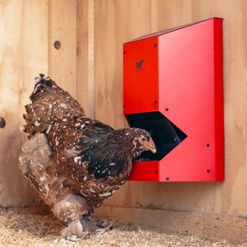 Mangeoire automatique pour poulets RUN-CHICKEN F80 (rouge)