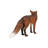 European Fox Statue