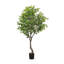 Faux Aralia Faux Foliage Tree in Pot-150141443