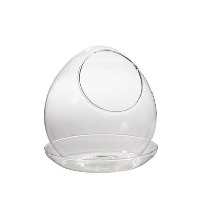 Terrarium Juhani Venta