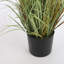 Faux Pampas Grass Grass in Pot-93756714