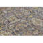 Luxor Beige Indoor/Outdoor Rug-84974776