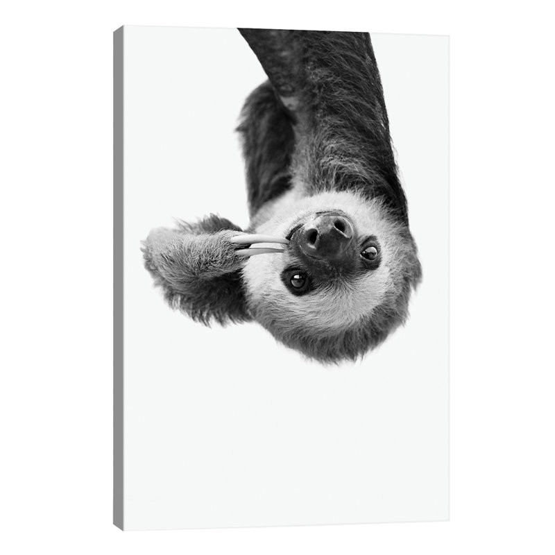 Sloth - Wrapped Canvas Print, 66.04 cm H x 45.72 cm W x 3.175 cm D