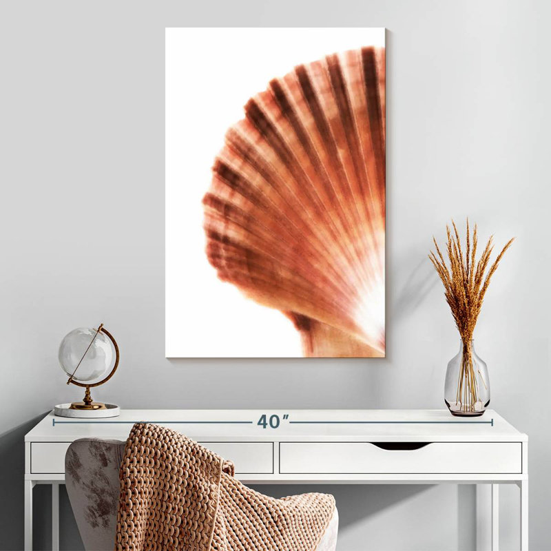 Aletra Scallop Seashell II, 30" H x 20" W