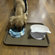 Boot Tray, 16.7 x 12.8 inch , Waterproof Shoe Tray for Indoor and Outdoor, Pet Food mat Tray,