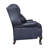 Verne Recliner-498336790