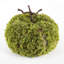 Fausse citrouille mousse 15 po