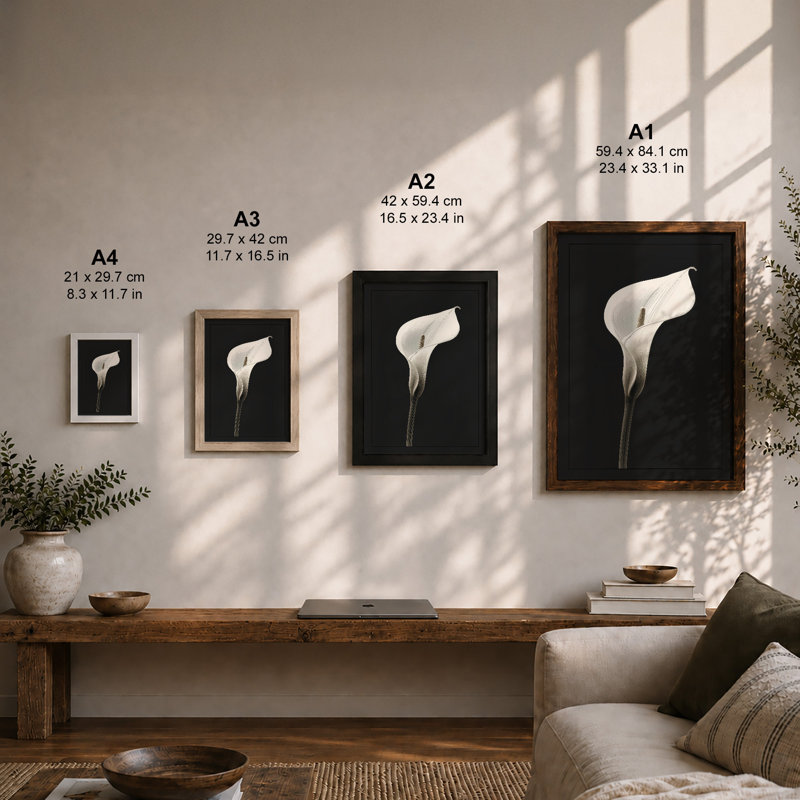 Luminous Calla Lily Botanical - Framed Print, Oak, A4 - 29.7 x 21.0 cm