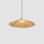Sepal 1 - Light Cone LED Pendant