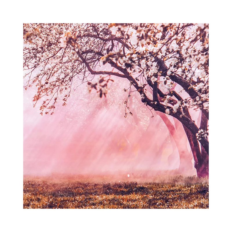 « Sunrise Blossom » par Hobopeeba-impression, Toile tendue, Pas de tapis, H 12 po x l 12 po x P 0,75 po