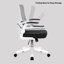 Romanzi Office Chair-411533414