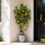 121.9cm Faux Lemon Plant-199865459