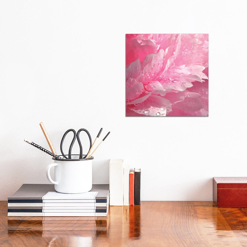 Peony With Raindrops - Wrapped Canvas Print, 30.48 cm H x 30.48 cm W