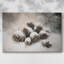 Silver Serenade of Eve-Premium Gallery Wrapped Canvas-1314611027