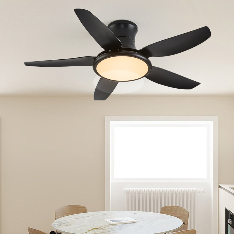 Andreano 122cm Ceiling Fan with LED Lights, Black