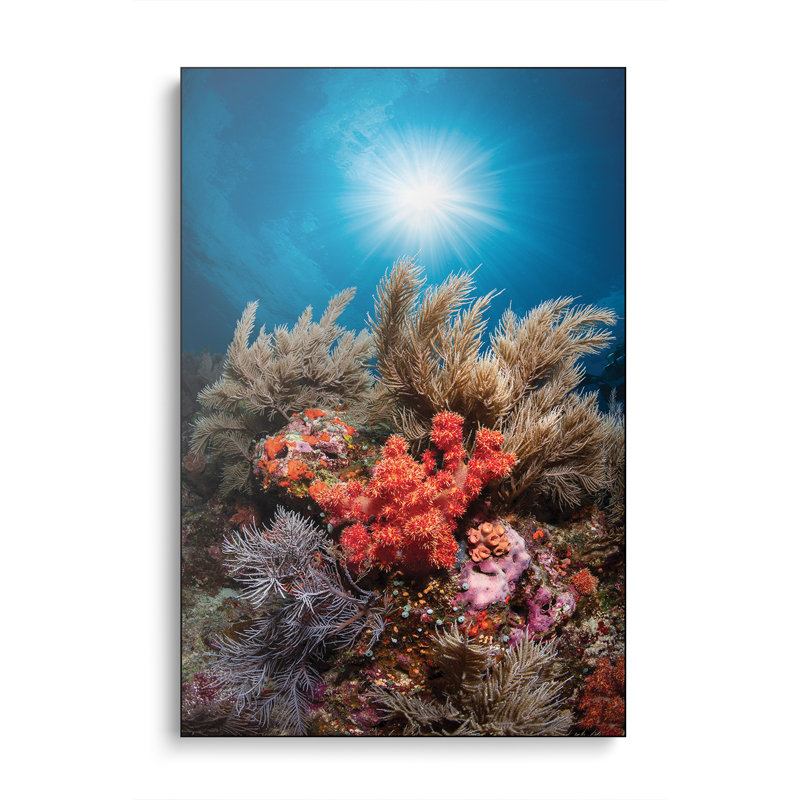 Reproduction d'art mural, toile sous-marine, "Stewaterix" par Barathieu Gabriel