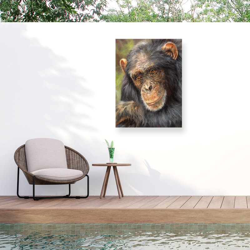 Toile d'extérieur David Stribble Chimp The Thinker, H 14 po x l 19 po