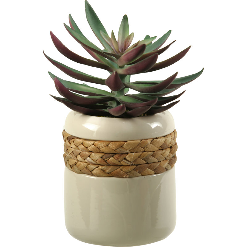 Faux Echeveria Plant in Ceramic Planter