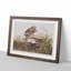 Winter Hawk by John James Audubon - Picture Frame Painting Print-55641849-55641851