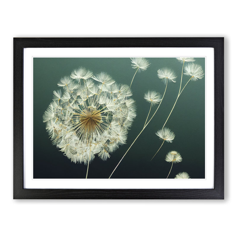 Unusual Dandelion Flowers - Framed Print, 46cm H x 64cm W x 2cm D, Black