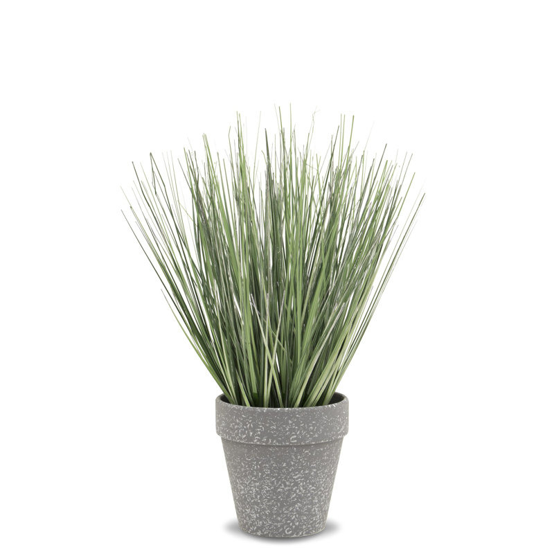 Faux Evergreen Grass in Pot, 34.5cm H x 20cm W x 20cm D