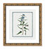 Gold Bead Framed