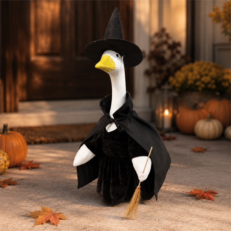 Décoration d'Halloween : Ensemble de déguisement d'oiseau pour porche, vêtements décoratifs amusants pour décorer le jardin, la cour ou la fête d'Halloween.