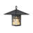 1 - Light Brown Lantern Pendant