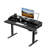 55'' W Large Electric Height Adjustable Standing Desk With Riser & 2 Drawers For Home Office-1799298399