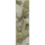 Mahenoor Area Rug with Non-Slip Backing