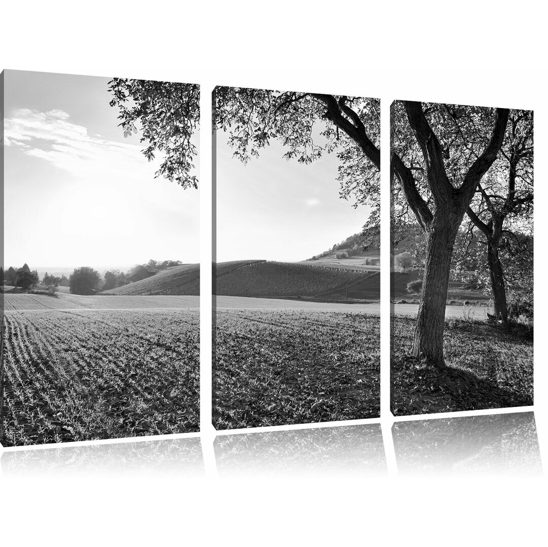 3-tlg. Leinwandbilder-Set â€žLandschaft im Herbstâ€œ, Fotodruck