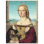 Raphael - Wrapped Canvas Print