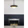 Carapace 1 - Light Pendant