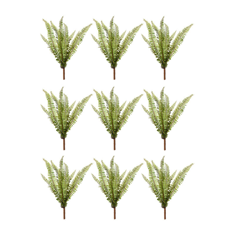 Fern Arrangement