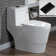1.28 GPF Elongated ADA Height One Piece Dual-Flush Toilet with Soft-Closing Seat,MAP Flushing 1000G