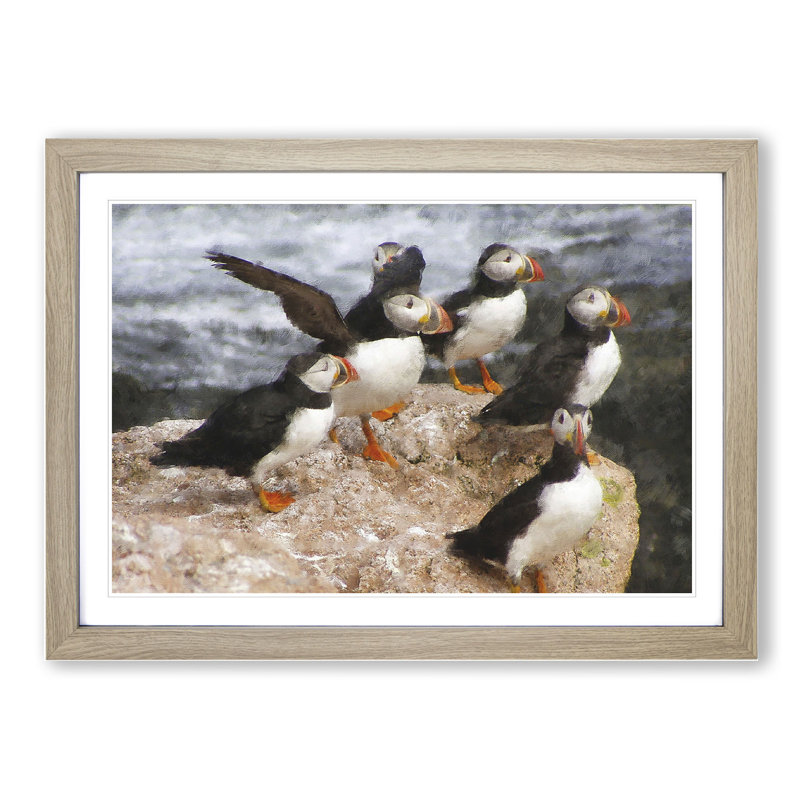 Atlantic Puffin Birds Vol.3 - Framed Print, 36cm H x 48cm W x 2cm D, Oak Framed