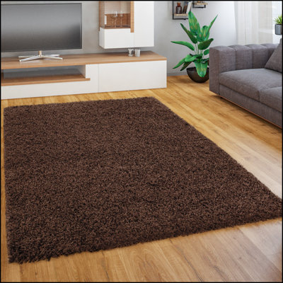 Epperson Solid Colour Shag Area Rug