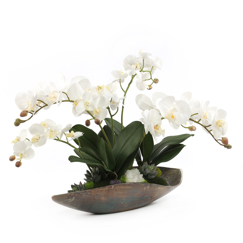Orchid Floral Arrangement