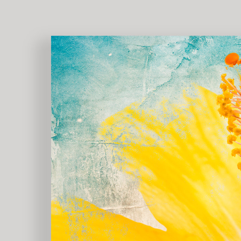 « painted pétales xvii »-2 pièces ensemble d’impressions sur toiles tendues, H 24 po x l 24 po x P 1,5 po